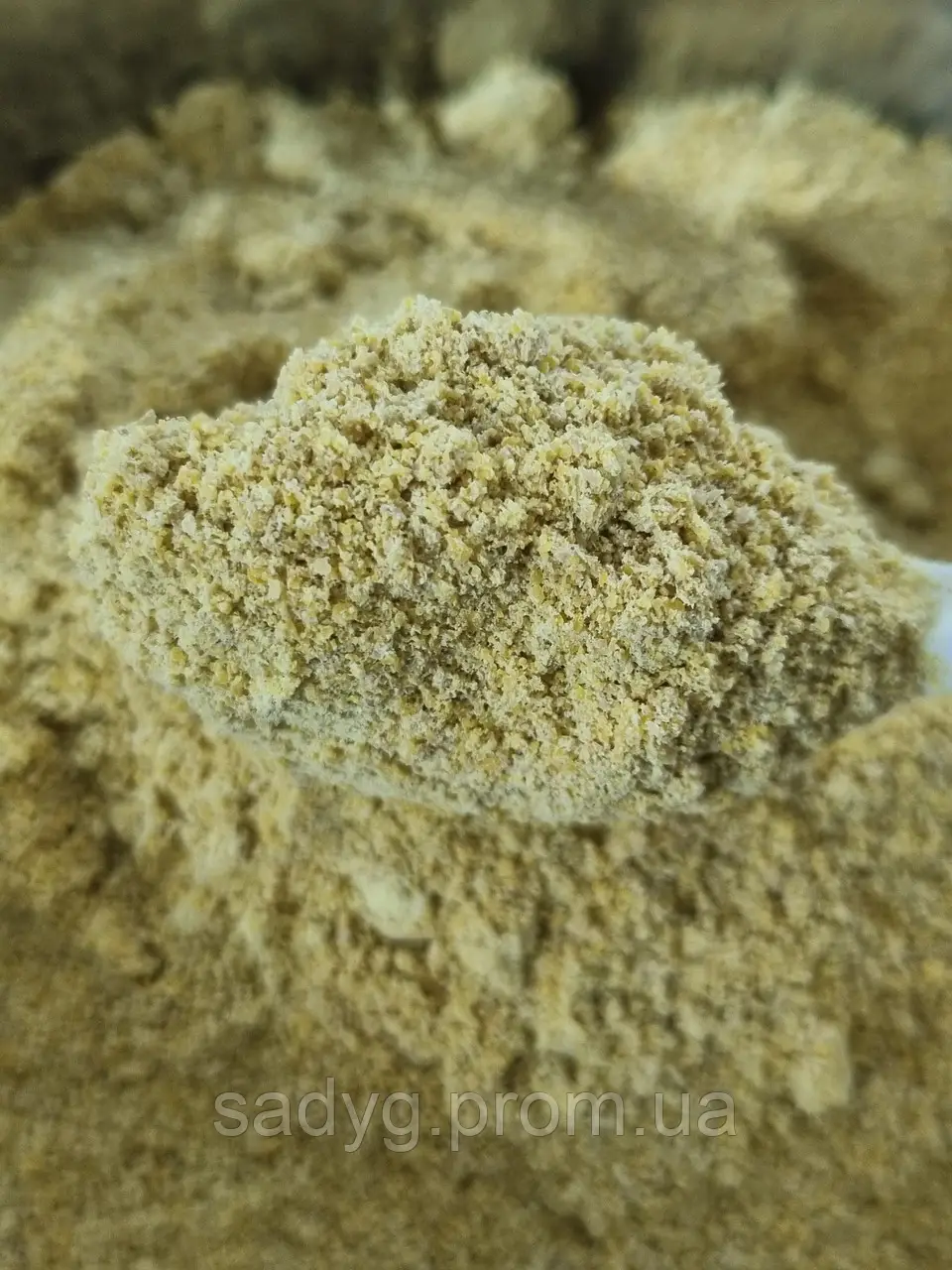 Гірчичний порошок (клітковина)