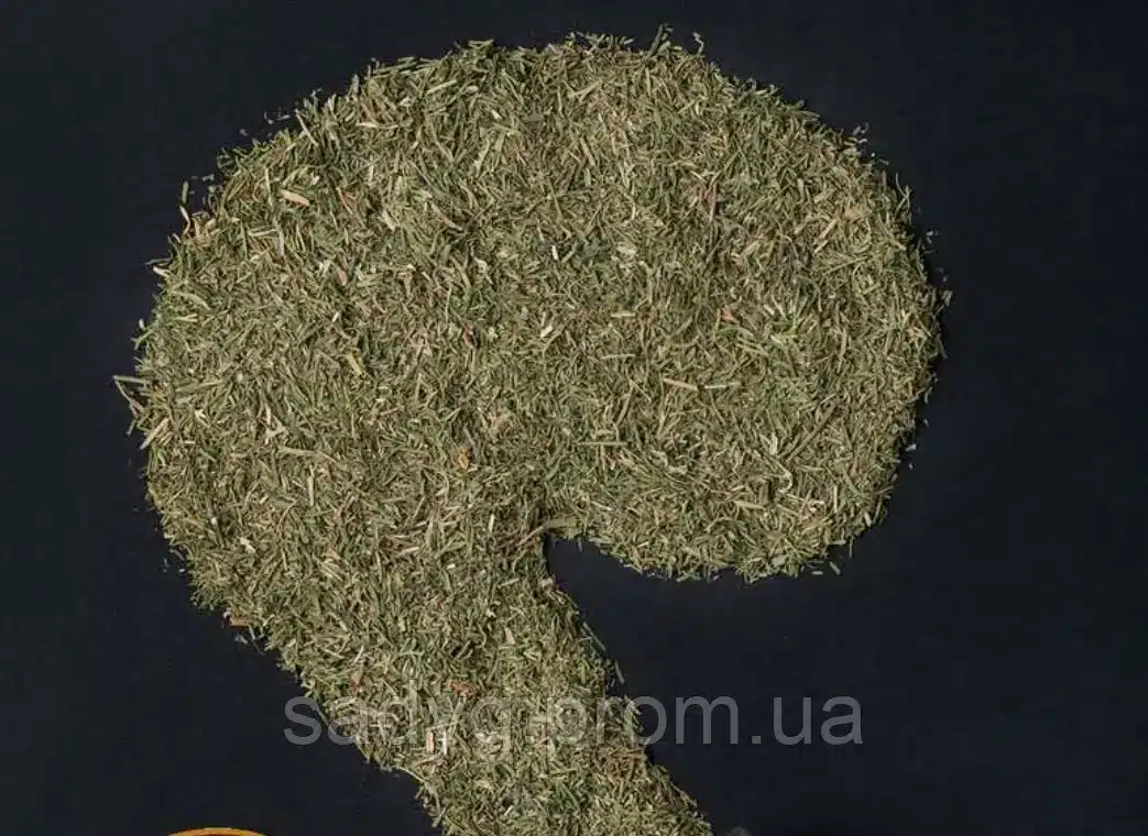 Кріп зелень сушений